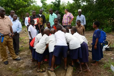 DSC_9393 (Large).JPG